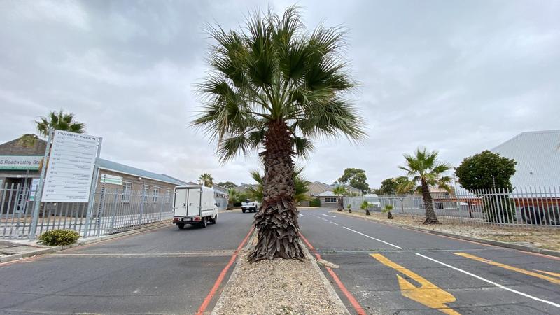 To Let commercial Property for Rent in Maitland Western Cape